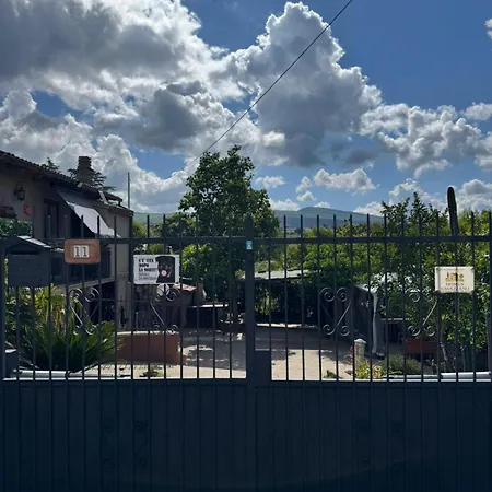 Domus Gavazzano *